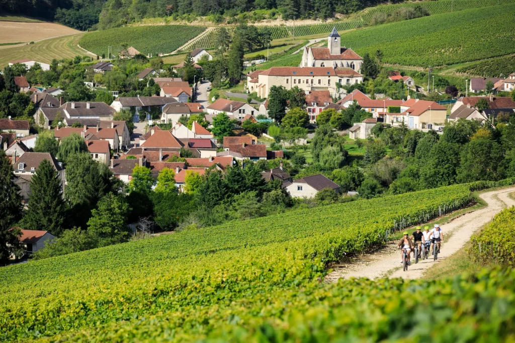 champagne region - Cycling through vineyards: the new way to explore wine regions - Exclusive Travel Representaton, luxury travel agency
