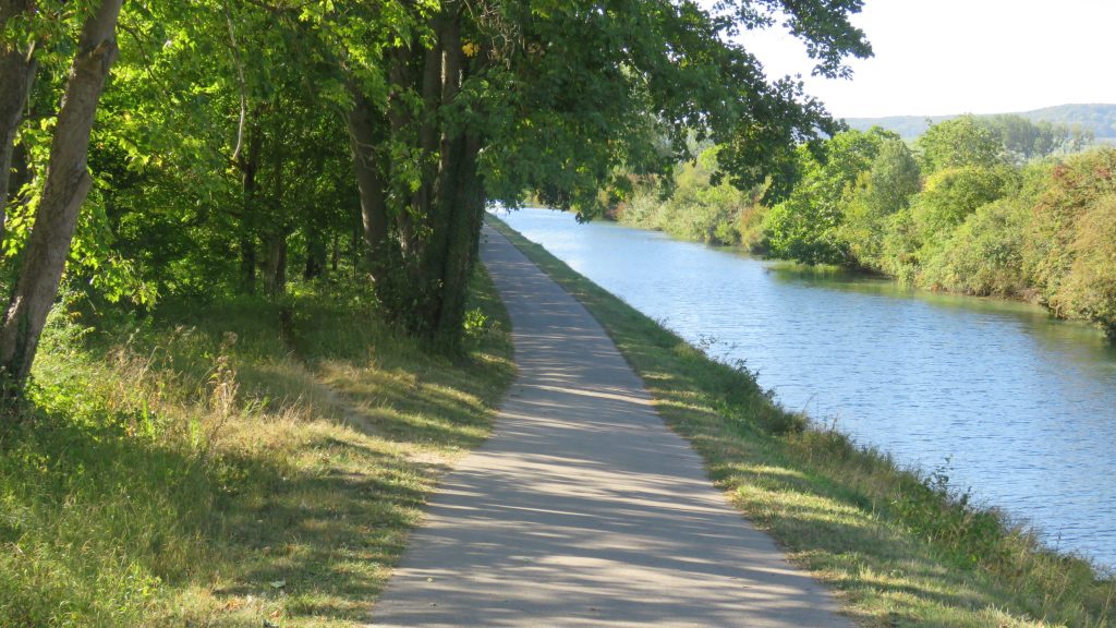 Marne Valley - Cycling through vineyards: the new way to explore wine regions - Exclusive Travel Representaton, luxury travel agency