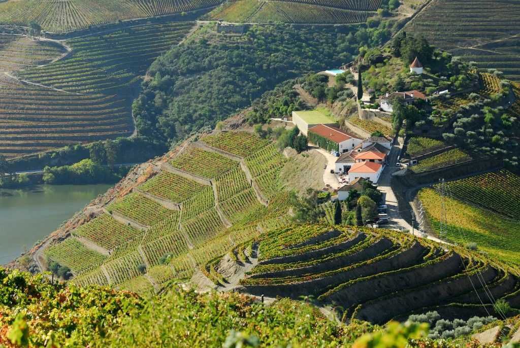 quinta da Castro -  -  A Journey throght the best Douro wineries - Exclusive Travel Representation, a luxury travel agency