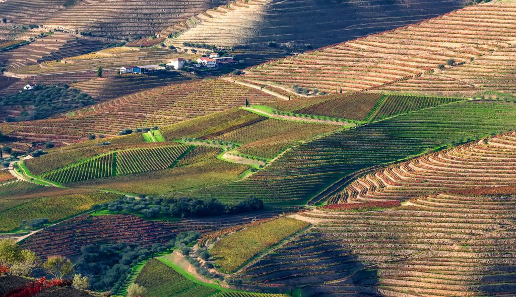  Pinhao, Portugal, Europe - A Journey throght the best Douro wineries - Exclusive Travel Representation, a luxury travel agency