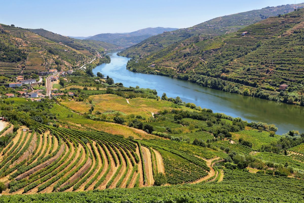 Amazing views of Douro vineyards and river from Messao Frio, Portugal