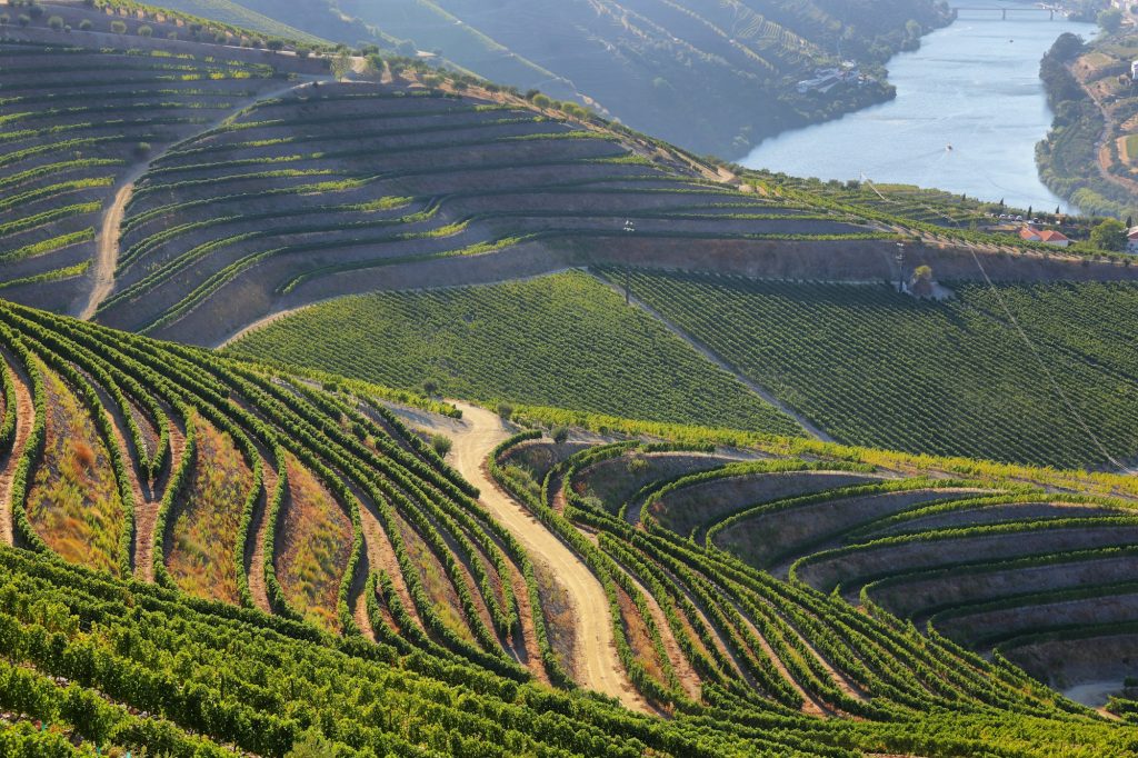 Douro vineyards - A Journey throght the best Douro wineries - Exclusive Travel Representation, a luxury travel agency