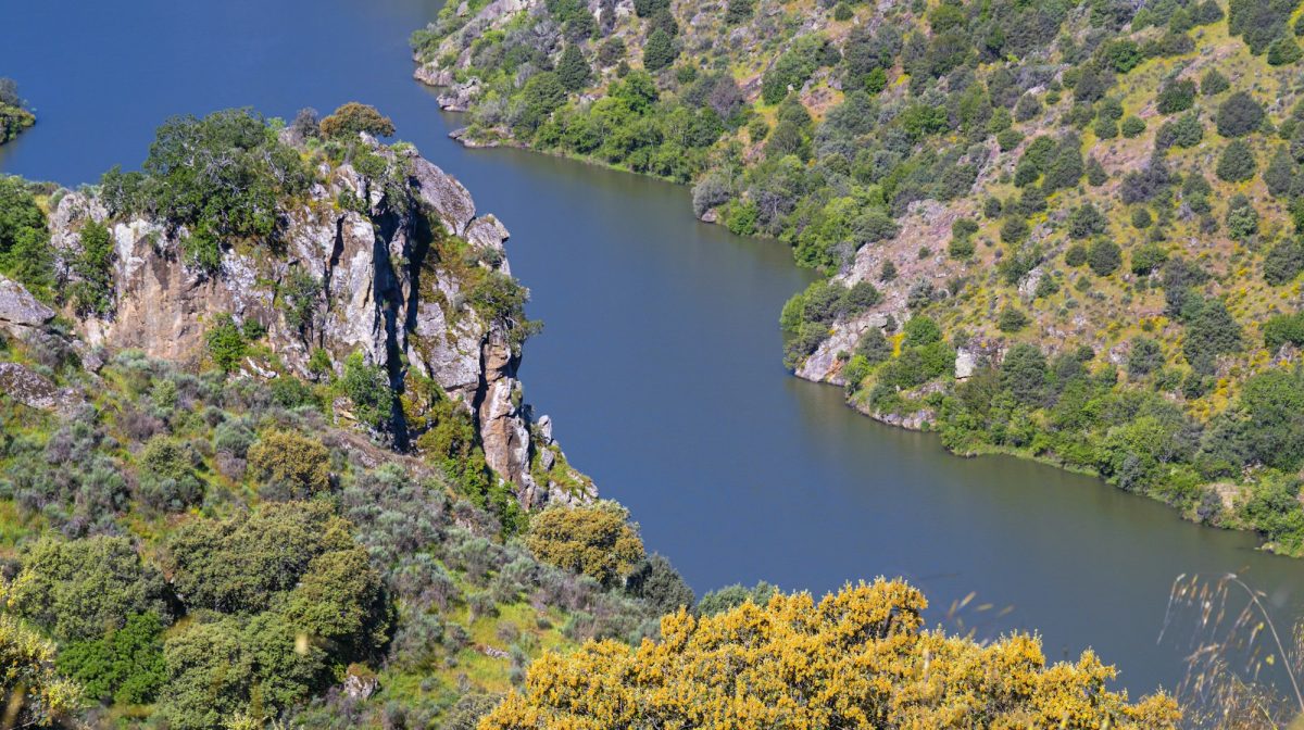 viewpoint-walking-route-spain. What Are the Best Natural Hiking Routes in Duero for Summer? Exclusive Travel Representation Luxurious Travel Representation Agent