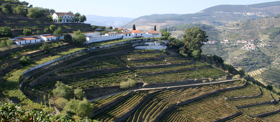 Quinta Do Noval - A Journey throght the best Douro wineries - Exclusive Travel Representation, a luxury travel agency